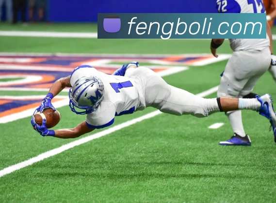 开云体育，kaiyun登录入口，kaiyun开云，开云体育股份有限公司平台生态图